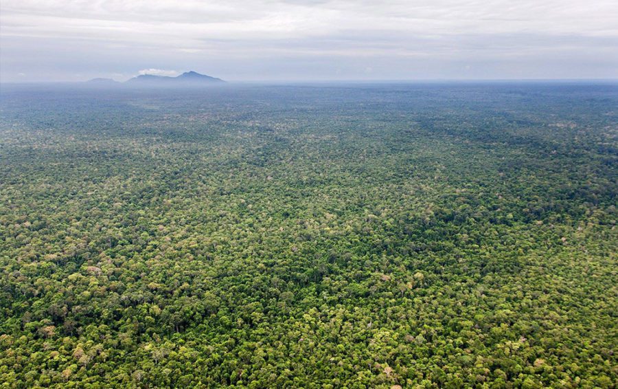 Aerial view of Cambodia's Prey Lang forest (Winrock International)