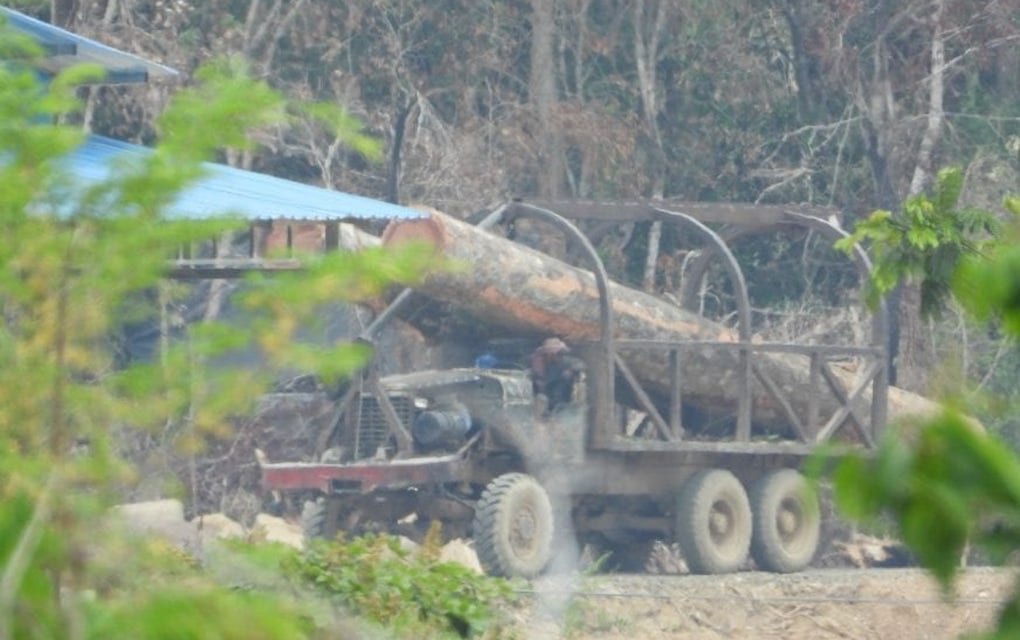 A truck is seen transporting logs in the Prey Lang Forest in Kratie province in early 2019. (Ouch Leng)