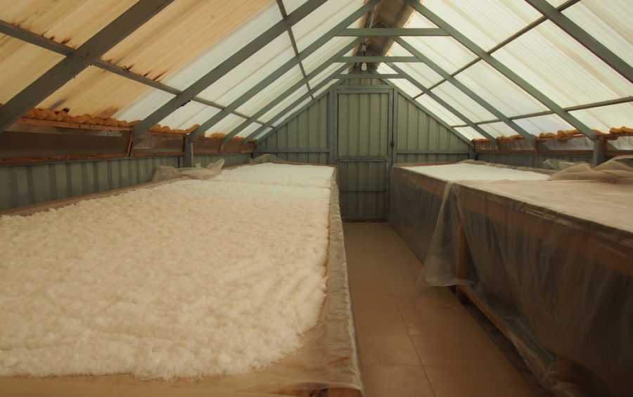 Salt lays out to dry in a greenhouse at Thaung Trading Company's processing laboratory in Kampot province in September 2019. (Danielle Keeton-Olsen/VOD)