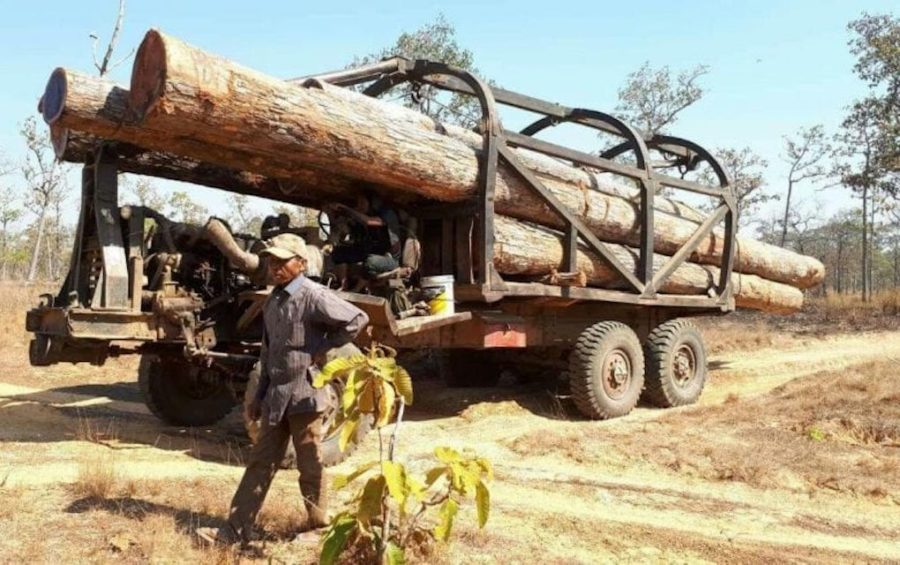 A man stands next to a truck that was found transporting timber from Prey Preah Roka National Park in Preah Vihear province in January 2019 (Heng Sros)