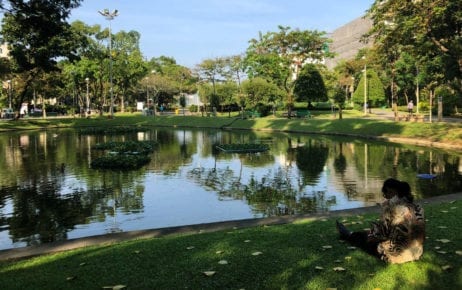 A CNRP member sits near a pond in Bangkok’s Santiphap Park on November 7, 2019 (Matt Surrusco/VOD)