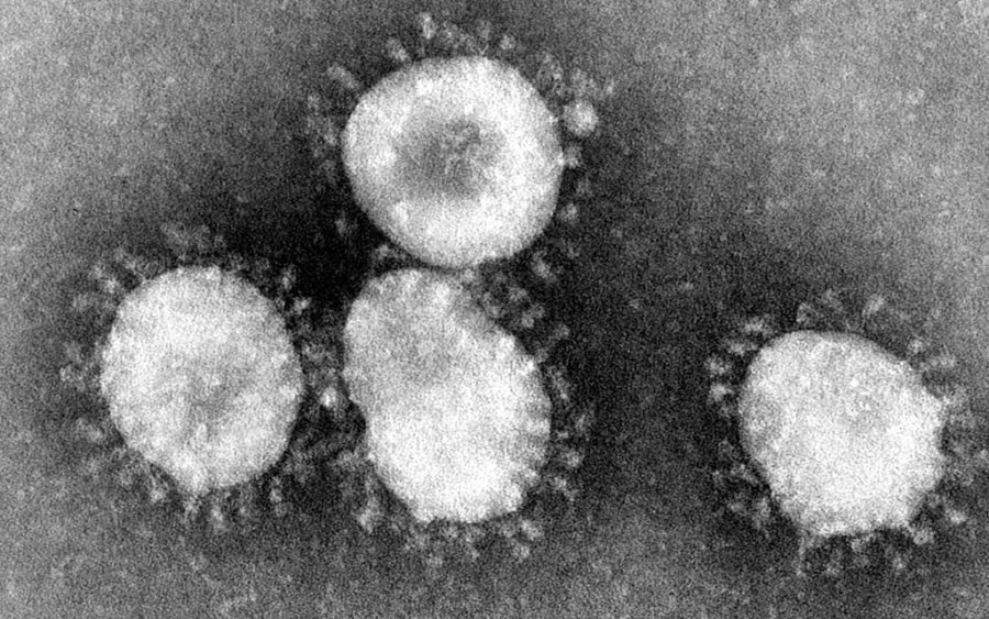 Coronavirus (US Centers for Disease Control and Prevention)