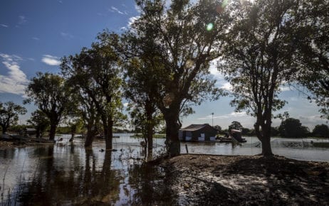 Most of the forests surrounding the Tonle Sap lake are dry in December, although a few are still flooded, as seen on December 17, 2019 in Siem Reap province's Treay village. (Roun Ry)