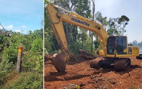 A cut tree and crane used to clear trees in a state forest in Mondulkiri province’s O’Raing district in 2020 (Supplied)
