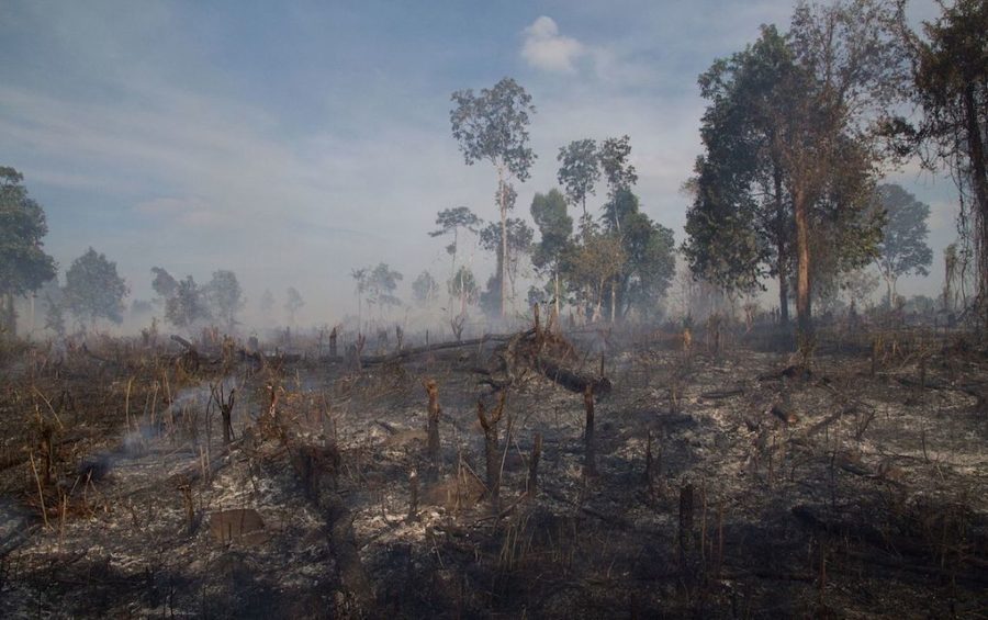 Illegal deforestation near Sen Monorom in Mondulkiri province in January 2014 (Christian Pirkl/Wikimedia Commons)