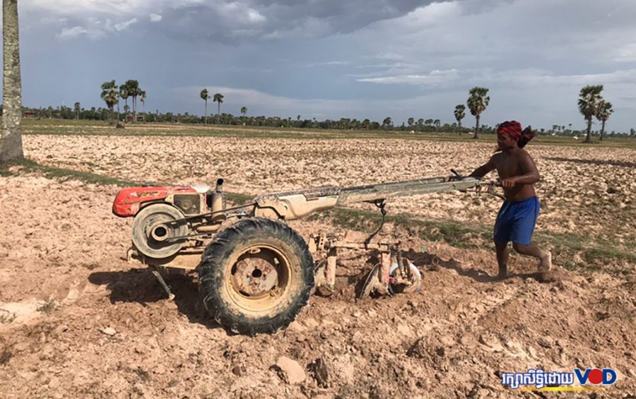 A farmer in Kampong Cham province’s Batheay district ploughs his rice field under the sun on June 6, 2020. (Kong Meta/VOD)