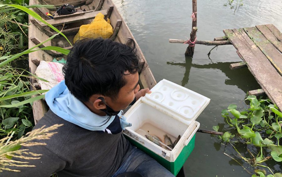 Fisherman Thoeung Theng displays a catch he pulled from a net in Tompun Lake on June 24, 2020. (Seav Meng/VOD)