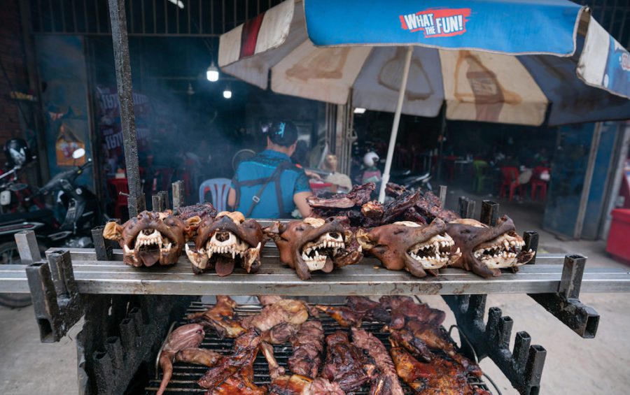 Dog heads and meat for sale at a roadside restaurant in Phnom Penh. (Andy Ball/VOD)