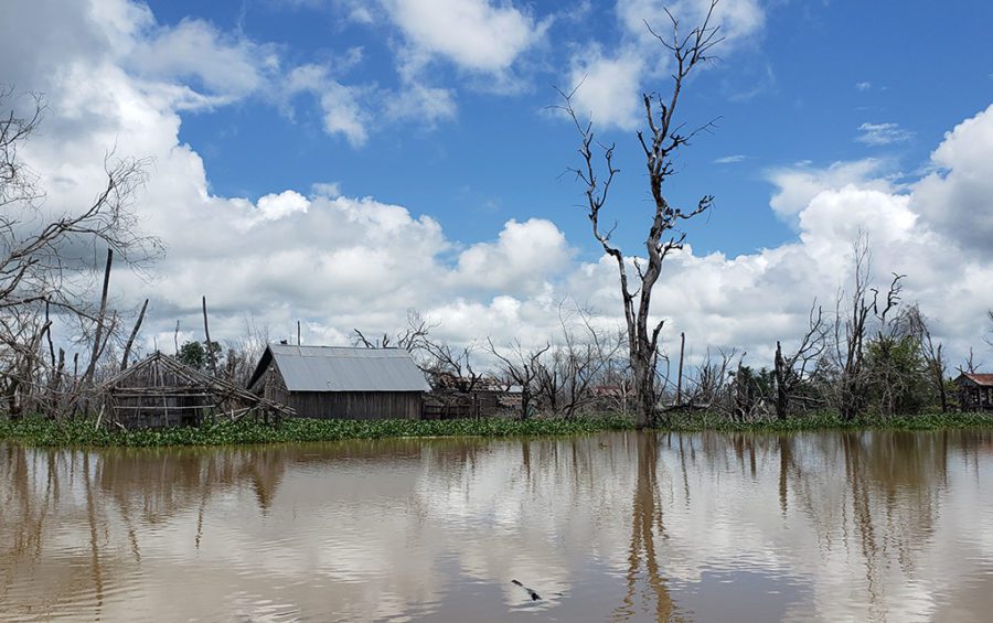 Empty buildings and dying trees are what remains of the original Kbal Romeas, an indigenous village within the Lower Sesan II hydropower dam reservoir in Stung Treng province. (Danielle Keeton-Olsen/VOD)