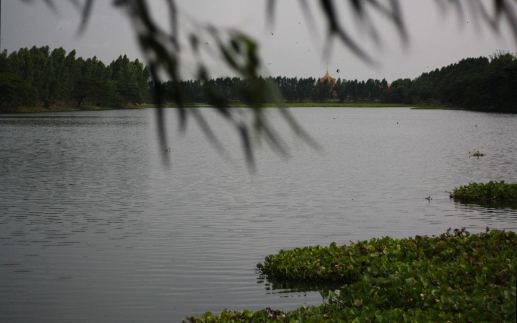 A pond in Setbo commune, in Kandal province’s Takhmao city, where a banana thief died while surrounded by a mob, in a photo taken on November 20, 2020. (Michael Dickison/VOD)