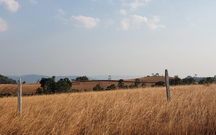 Fence posts break up a field in Pu Rang village, a Bunong indigenous village where residents say pieces of their land have been sold, in Mondulkiri province's O'Reang district on February 12, 2021. (Danielle Keeton-Olsen/VOD)