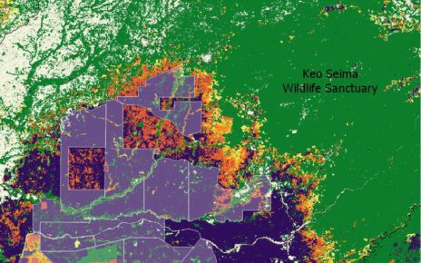 Forest loss in Keo Seima Wildlife Sanctuary using Global Forest Watch data, with tree loss spreading out from previously-cleared rubber concessions. (Danielle Keeton-Olsen/VOD)
