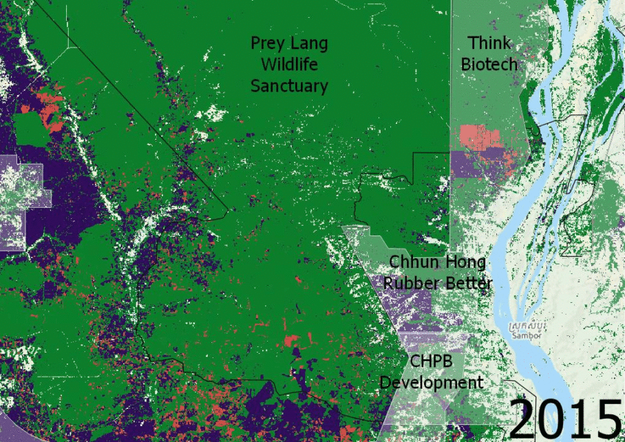 A gif depicting forest loss between 2015 and 2020 in the southern half of Prey Lang Wildlife Sanctuary, showing heavier loss near land concessions. (Danielle Keeton-Olsen/VOD)