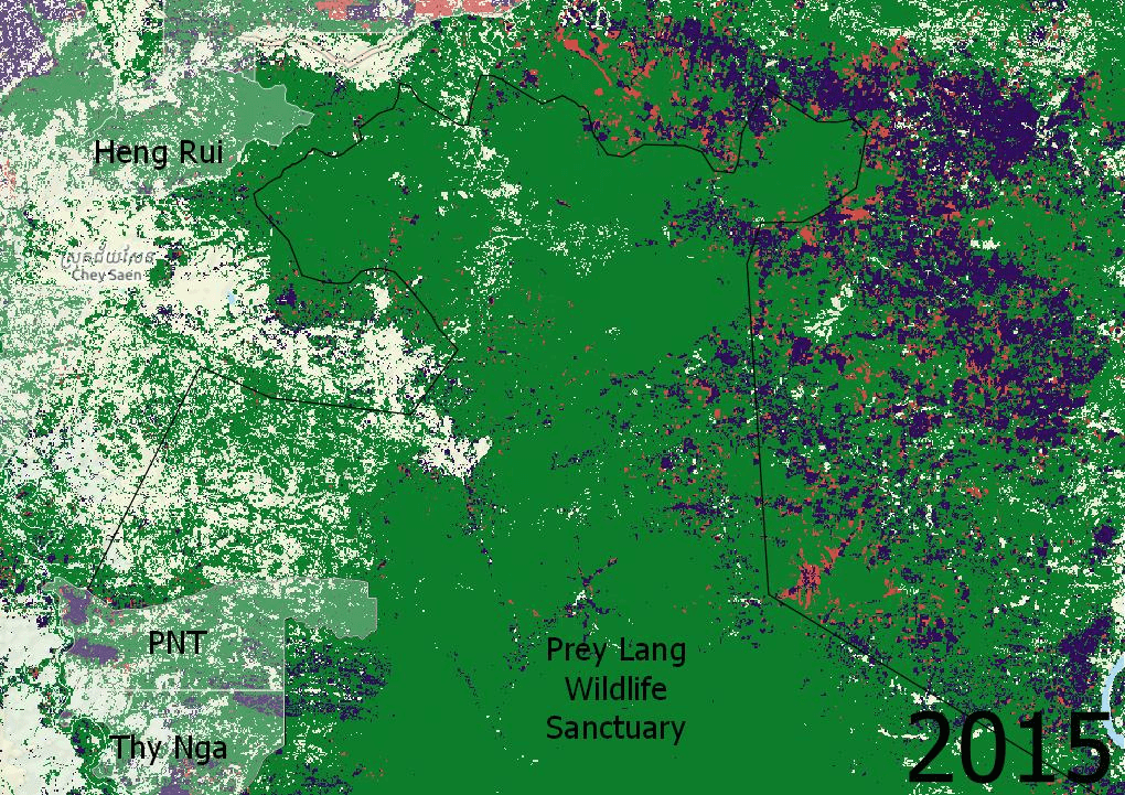 A gif depicting forest loss between 2015 and 2020 in the northern half of Prey Lang Wildlife Sanctuary, showing heavier loss near economic land concessions. (Danielle Keeton-Olsen/VOD)