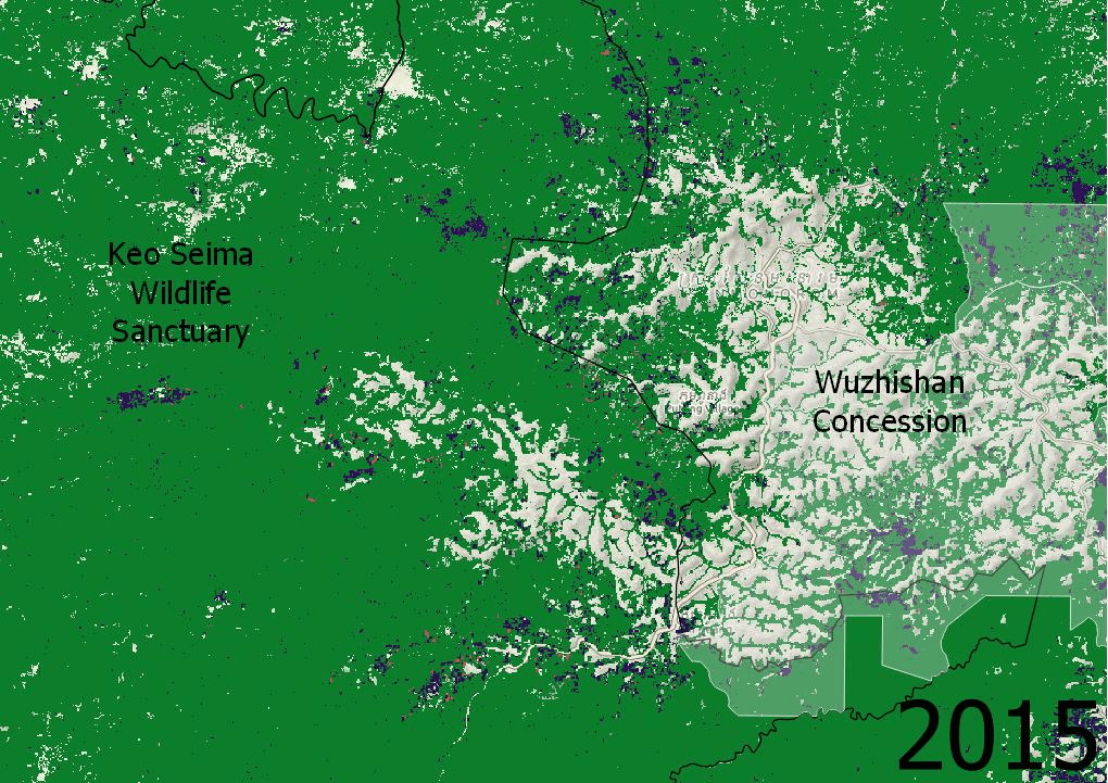 A gif depicting forest loss between 2015 and 2020 in Keo Seima Wildlife Sanctuary using Global Forest Watch data, in an area of increased land speculation in Mondulkiri province. (Danielle Keeton-Olsen/VOD)