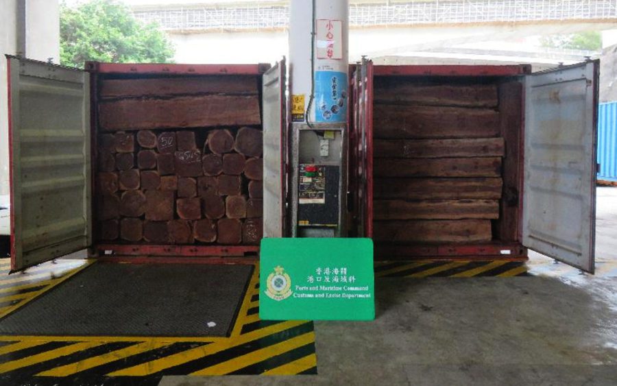 Logs of an ‘endangered species’ seized in Hong Kong after arriving in containers from Cambodia. (Hong Kong Customs)