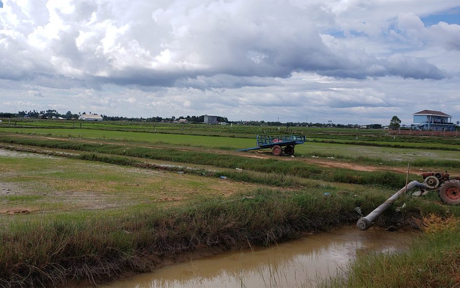 Rice fields and irrigation canals outside Siem Reap city on October 31, 2020. (Danielle Keeton-Olsen/VOD)