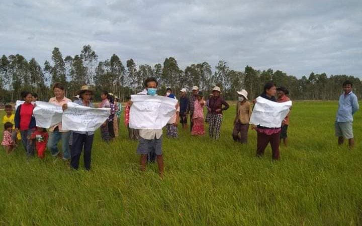 Residents, some wearing masks, stand with protest signs in a Svay Rieng rice field, in a photo posted to Yous Sophorn's Facebook page on August 4, 2021.