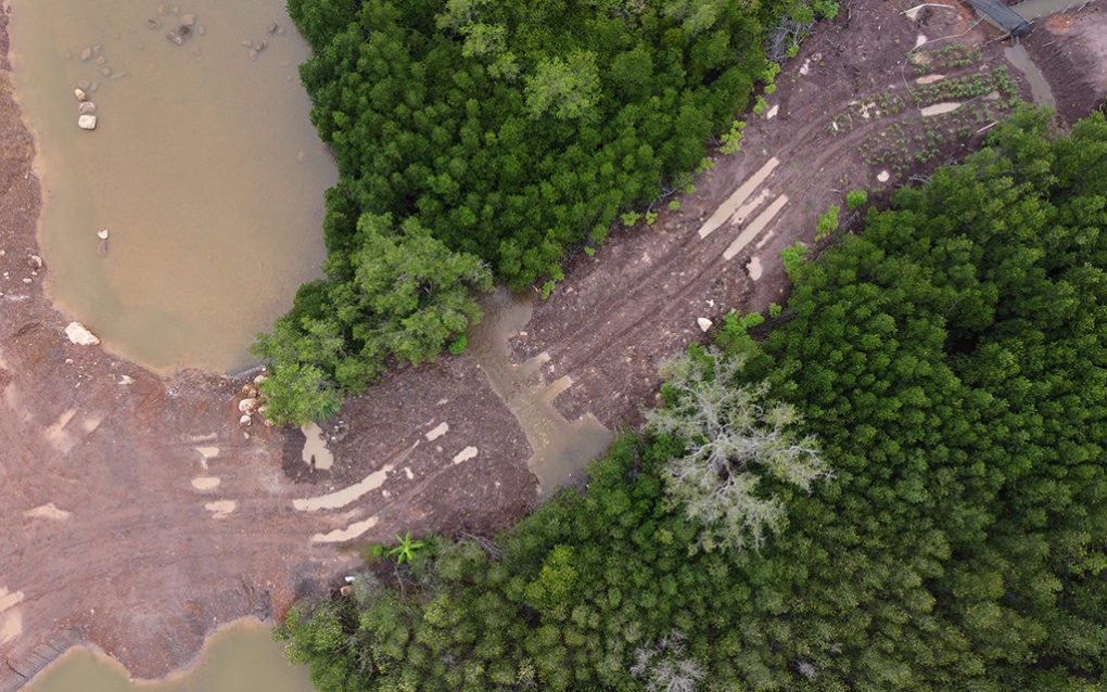 Truck tracks and sand cut through a strip of mangrove forest near the IGB (Cambodia) sandfilling site, in Kampot's Toek Chhou district on August 26, 2021. (Danielle Keeton-Olsen/VOD)