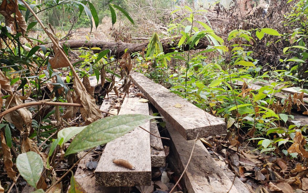 Planks found near recently cleared land by Andoung Kraloeng community patrollers in Mondulkiri's Keo Seima Wildlife Sanctuary on February 11, 2021. (Danielle Keeton-Olsen/VOD)