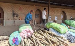 Fabric-Fueled Kiln’s Emissions Split Kandal Village Residents