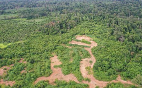 Clearings in Preah Vihear’s Prey Preah Roka Wildlife Sanctuary, in September 2021. (Heng Vichet/VOD)
