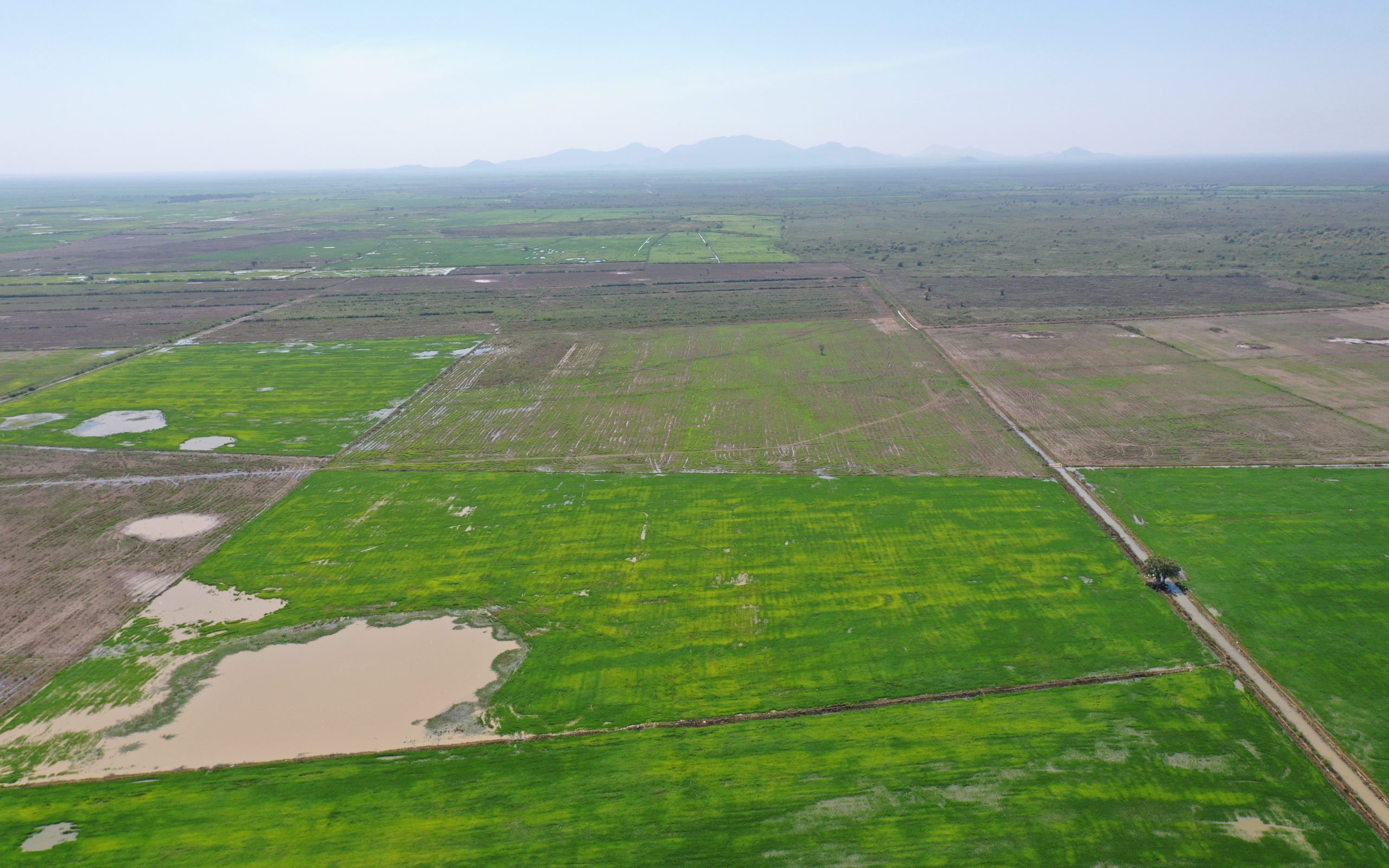 Farms on flooded forest areas in Kampong Chhnang province in January 2022. (Kuoy Langdy/VOD)