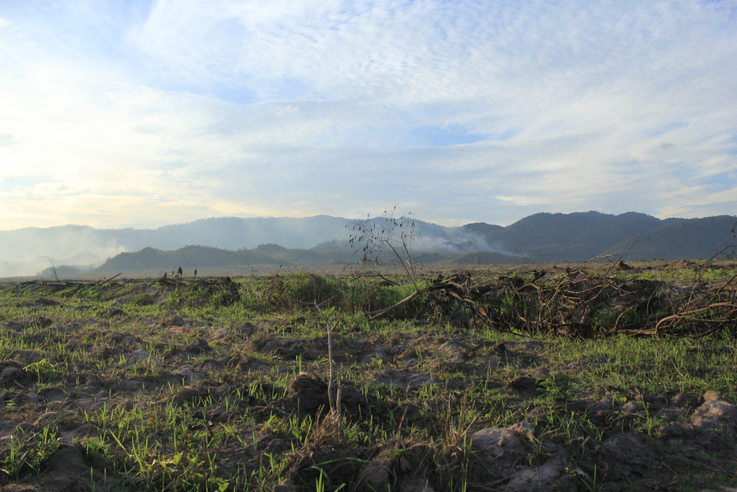 A deforested section of land up the road from woodlands where a group of soldiers allegedly assaulted locals on Tuesday outside Po Meas village in Kampong Speu. The disputed forest area is in the mountainous Oral district. (Andrew Haffner/VOD)