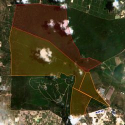 Vast Tracts of Phnom Tamao Forest Targeted for Real Estate, Documents Show