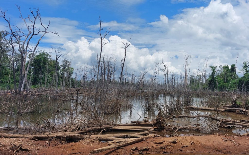 Dead trees in the reservoir created for the Lower Sesan 2 Hydropower Dam in Stung Treng's Srekor commune on May 20, 2022. (Danielle Keeton-Olsen/VOD)