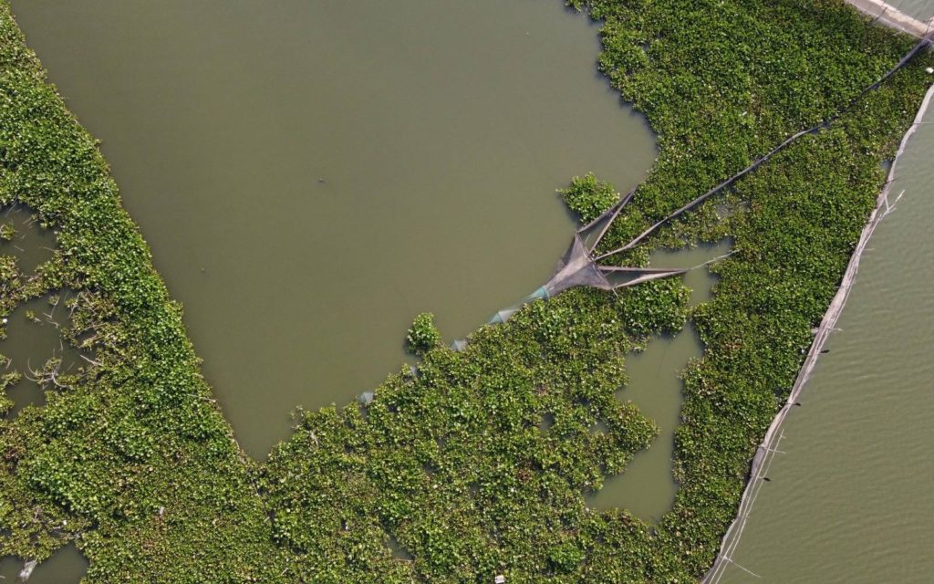 Phnom Penh’s Boeng Tamok lake in March 2022. (Danielle Keeton-Olsen/VOD)