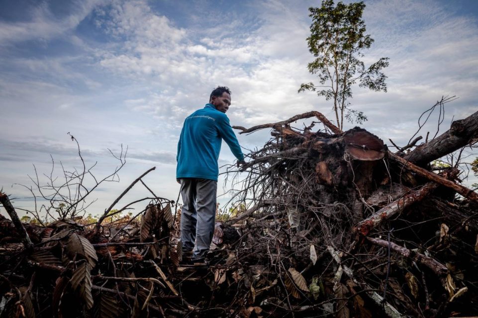 A community member living near Kampong Speu’s Metta forest surveys land clearing on June 8, 2022. (Roun Ry/VOD)