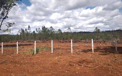 A rural road has been bulldozed into a patch of dirt and fenced off in O’Reang district’s Dak Dak commune in Mondulkiri, according to locals. (Boreth Kompi)