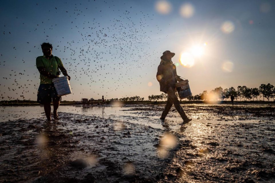 Farmers near the Tonle Sap lake in Siem Reap in January 2020. (Roun Ry/VOD)