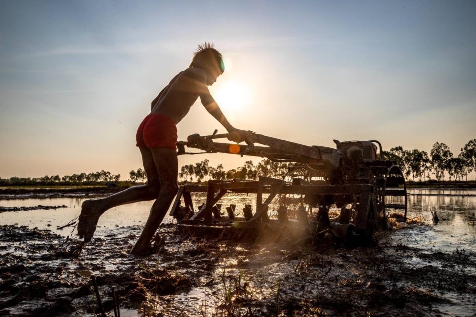 A child farms with a koyun near the Tonle Sap lake in Siem Reap on January 4, 2020. (Roun Ry/VOD)