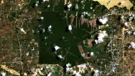 Phnom Tamao forest as of August 3. (European Space Agency)