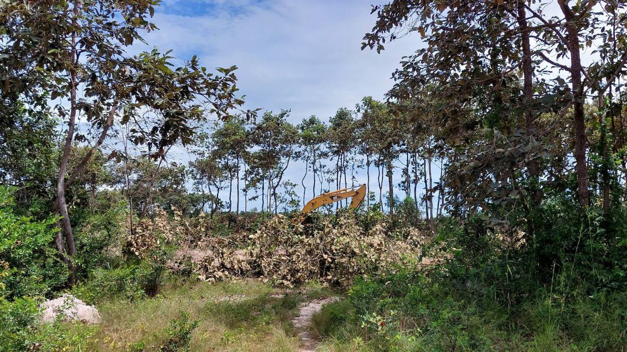 An excavator knocks down trees close to the road bordering Phnom Tamao forest in Takeo province on August 5, 2022. (Danielle Keeton-Olsen/VOD)