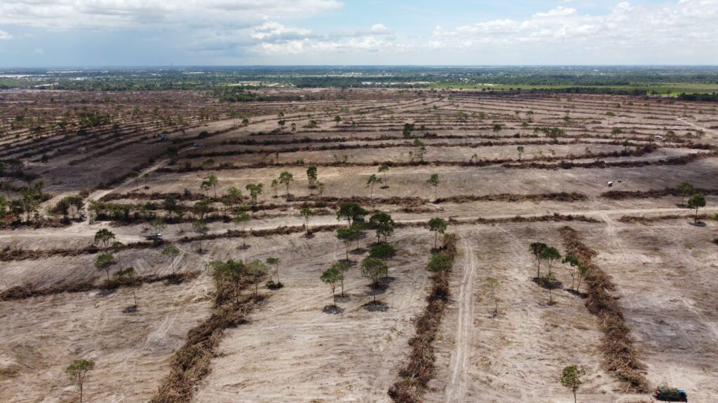 Land in Phnom Tamao forest that had been cleared before Prime Minister Hun Sen's cancelation of the privatization, captured by drone on August 16, 2022. (Danielle Keeton-Olsen/VOD)