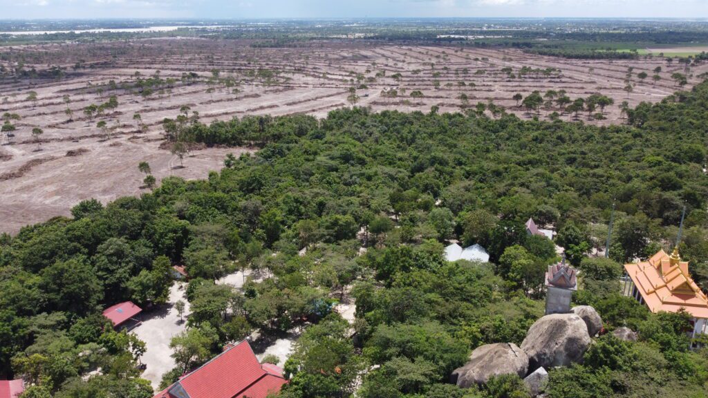 Land in Phnom Tamao forest that had been cleared before Prime Minister Hun Sen's cancelation of the privatization, captured by drone on August 16, 2022. (Danielle Keeton-Olsen/VOD)