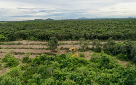 Excavators are clearing land in the Phnom Tamao forest on August 1, 2022. (Kuoy Langdy/VOD)