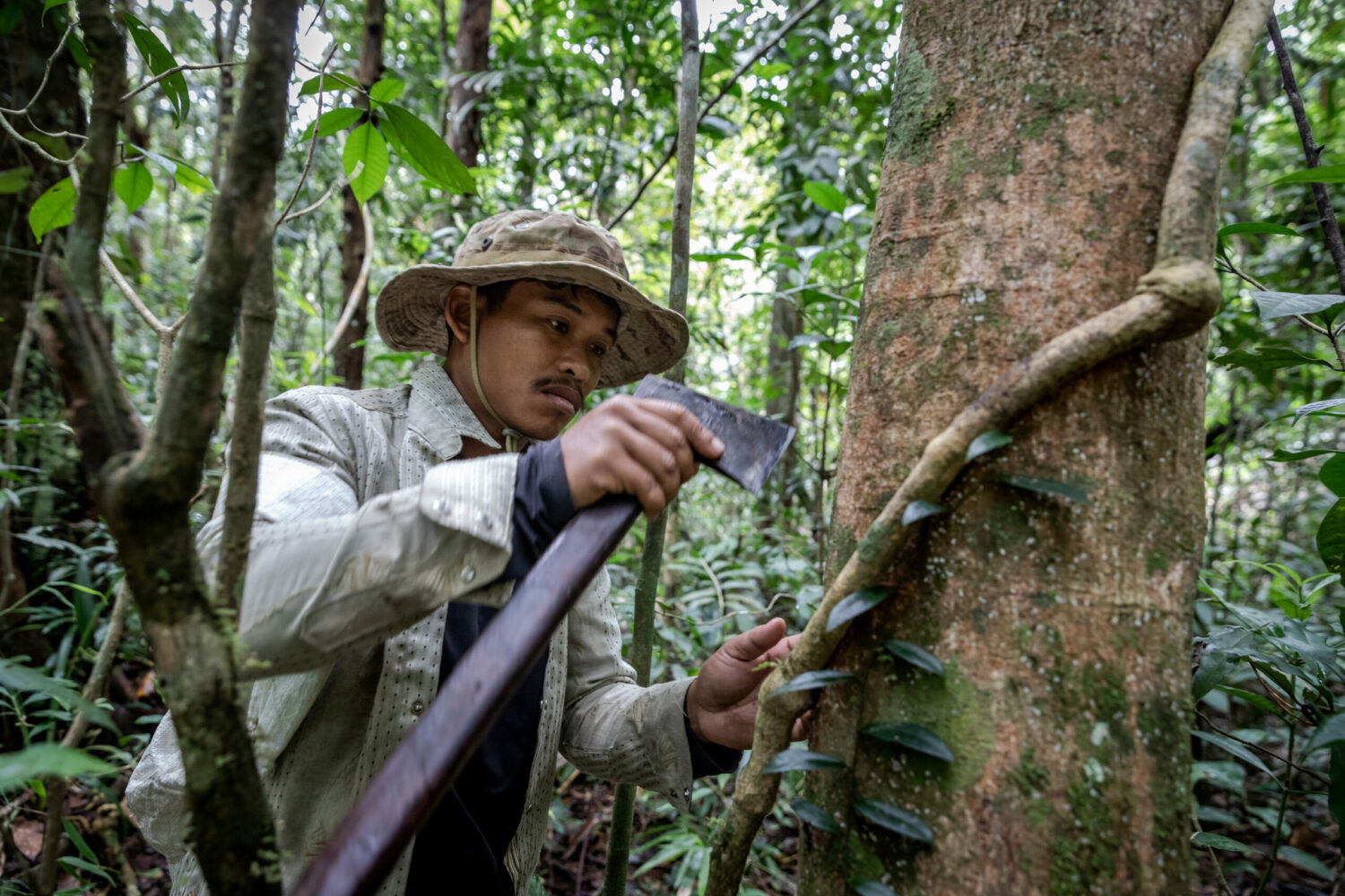 Hing Sao, 32, carefully cuts bark from a tree in the forests of Cardamom Protected Forest on August 2, 2022. (Roun Ry/VOD)