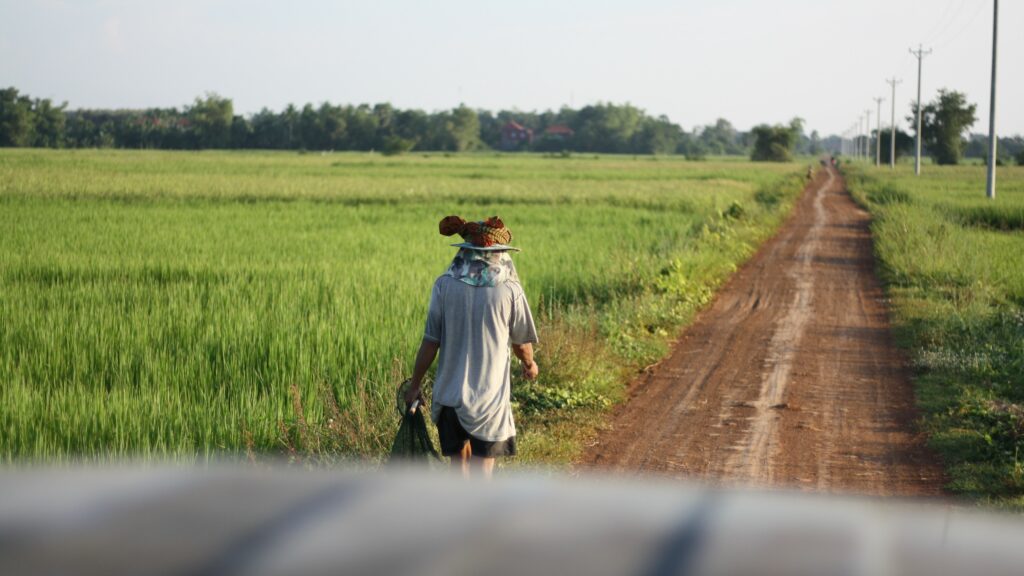 A farmer in Tbong Khmum province in October 2022. (Michael Dickison/VOD)