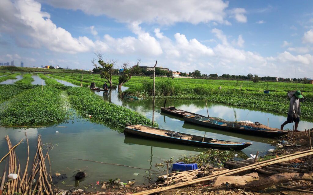 Farms along the Prek Tnaut river in Phnom Penh's Dangkao district on November 25, 2022. (Fiona Kelliher/VOD)