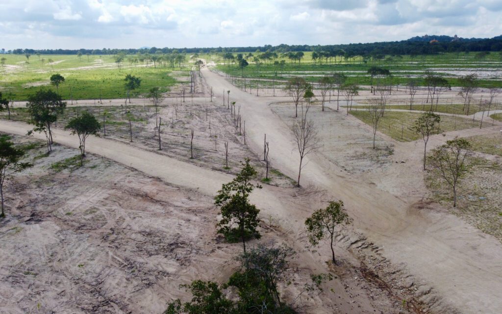 Sandy roads snake around the razed Phnom Tamao forest. (Danielle Keeton-Olsen)