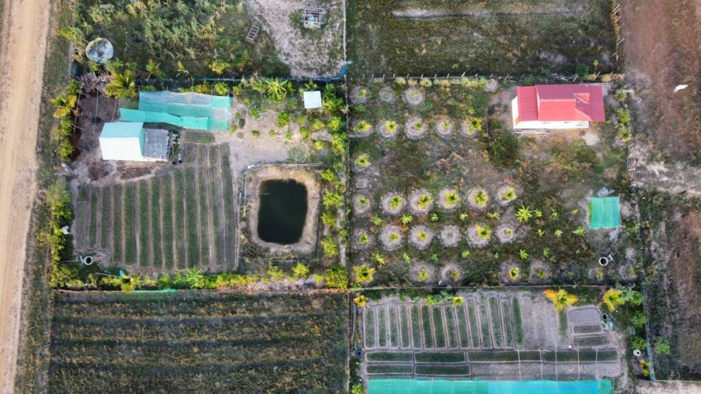 An overhead view of houses and small gardens built as part of the World Bank's Lased II project in Kampong Thom province's Doung commune on November 29, 2022. (Danielle Keeton-Olsen/VOD)