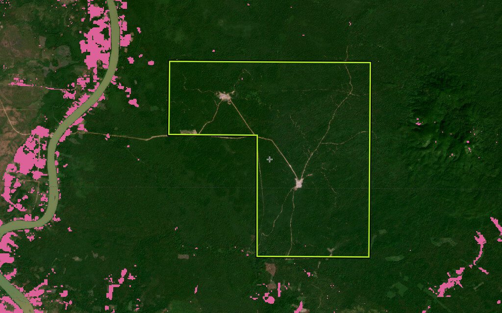 Tree cover loss at the new Horizon Agriculture Development economic land concession in Stung Treng. (Global Forest Watch)