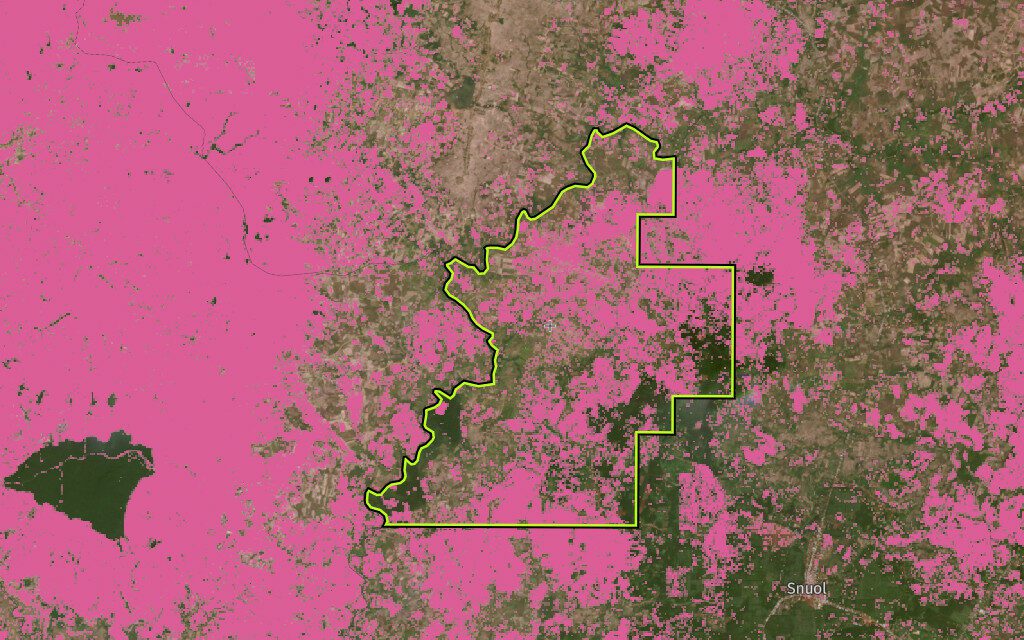Tree cover loss at the old Horizon Agriculture Development economic land concession in Kratie. (Global Forest Watch)