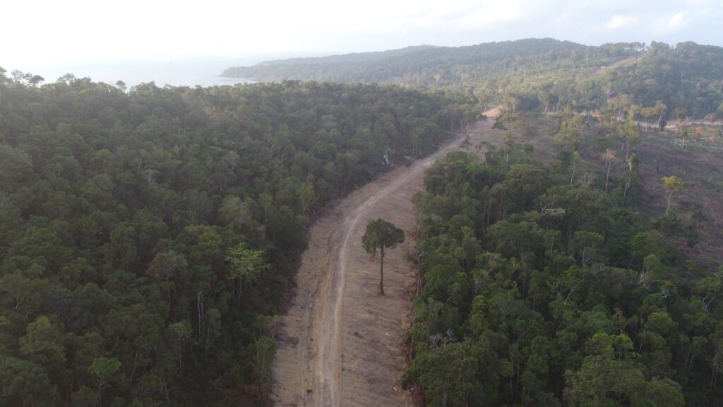 A sole tree stands in a newly cut road south of the Saracen Bay resort area in Koh Rong Sanloem island on February 5, 2023. (Danielle Keeton-Olsen/VOD)
