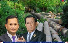 Are Cambodia’s Natural Resources Under Threat or Protected Under the Mandate of Hun Manet?