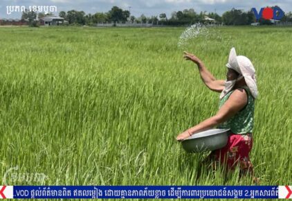 Fertilizer focus: will the ships arrive in time to save Cambodian farmers?